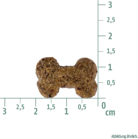 Christopherus Vegetarian - Crunchy Snack - Apfel mit Linsen 125g
