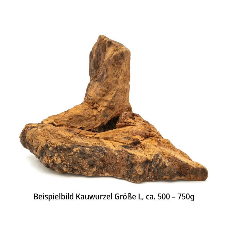 L (500-750g)