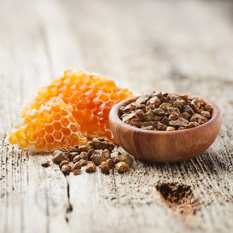 Purwell Propolis Lösung für Hunde - Alkoholfrei 50 ml