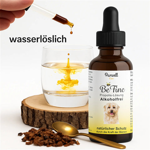 Purwell Propolis Lösung für Hunde - Alkoholfrei 50 ml