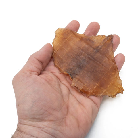 Purwell Tintenfisch Knusper für Hunde 60g