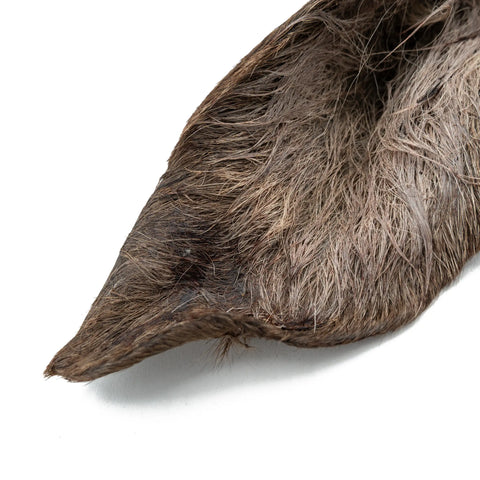 Purwell Hirschohren mit Fell 2 St.