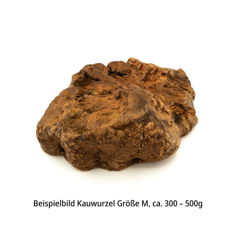 M (300-500g)