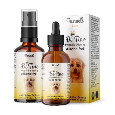 Purwell Propolis für Hunde - Alkoholfreie Lösung