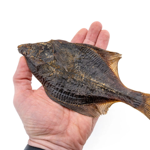 Purwell Flunder 250g