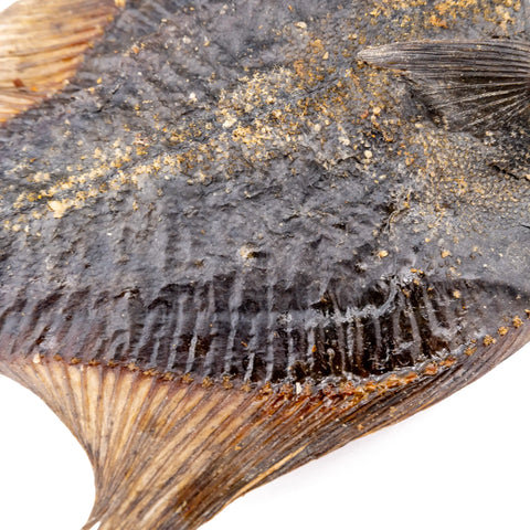 Purwell Flunder 250g