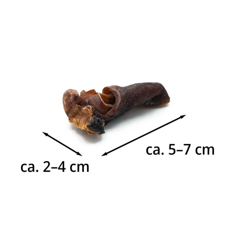 Purwell Oktopus Kracher für Hunde 100g