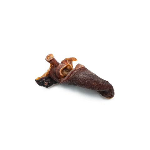 Purwell Oktopus Kracher für Hunde 100g