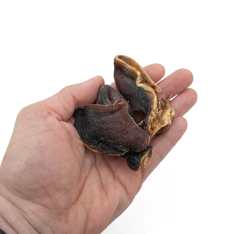 Purwell Oktopus Kracher für Hunde 100g