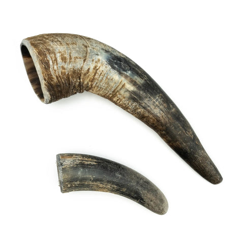 updog Natürliches Rinderhorn für Hunde