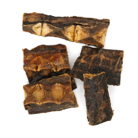 Purwell Thunfischkracher für Hunde – natürlicher Thunfischknochen