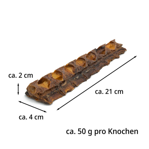 Purwell Thunfischkracher für Hunde – natürlicher Thunfischknochen