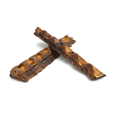 Purwell Thunfischkracher für Hunde – natürlicher Thunfischknochen