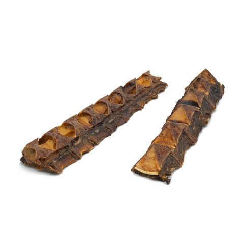 Purwell Thunfisch Kracher für große Hunde, 2 Stück