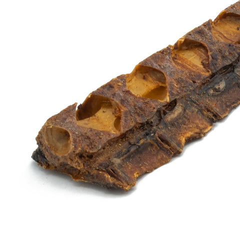 Purwell Thunfischkracher für Hunde – natürlicher Thunfischknochen