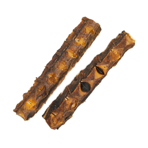 Purwell Thunfischkracher für Hunde – natürlicher Thunfischknochen