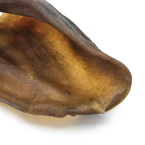 Purwell wild boar ear 2 pieces
