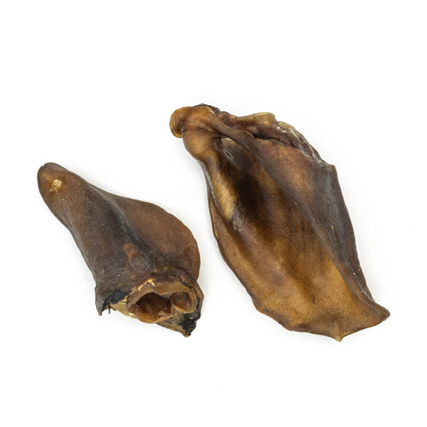 Purwell wild boar ear 2 pieces