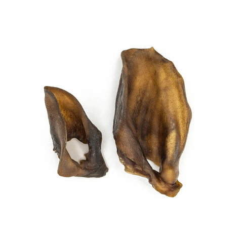 Purwell wild boar ear 2 pieces
